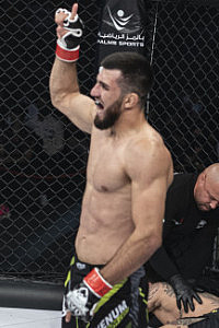 Halil Amir